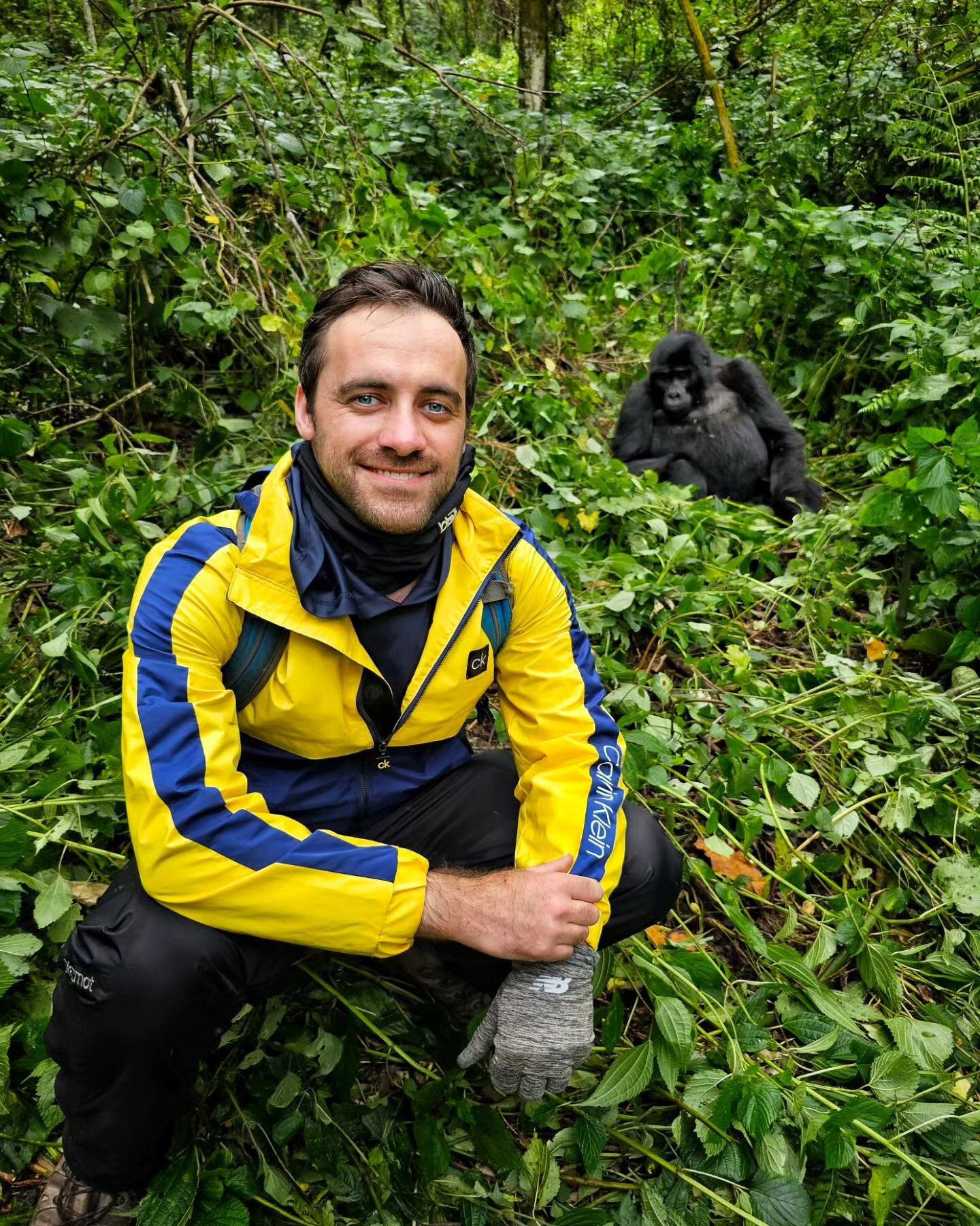 🦍 Uganda's Bwindi Impenetrable Forest is home to half of the world's population of endangered mountain gorillas.

We were fortunate enough to visit a large habituated family of 12 - including two silverback patriarchs - for over an hour. These anima