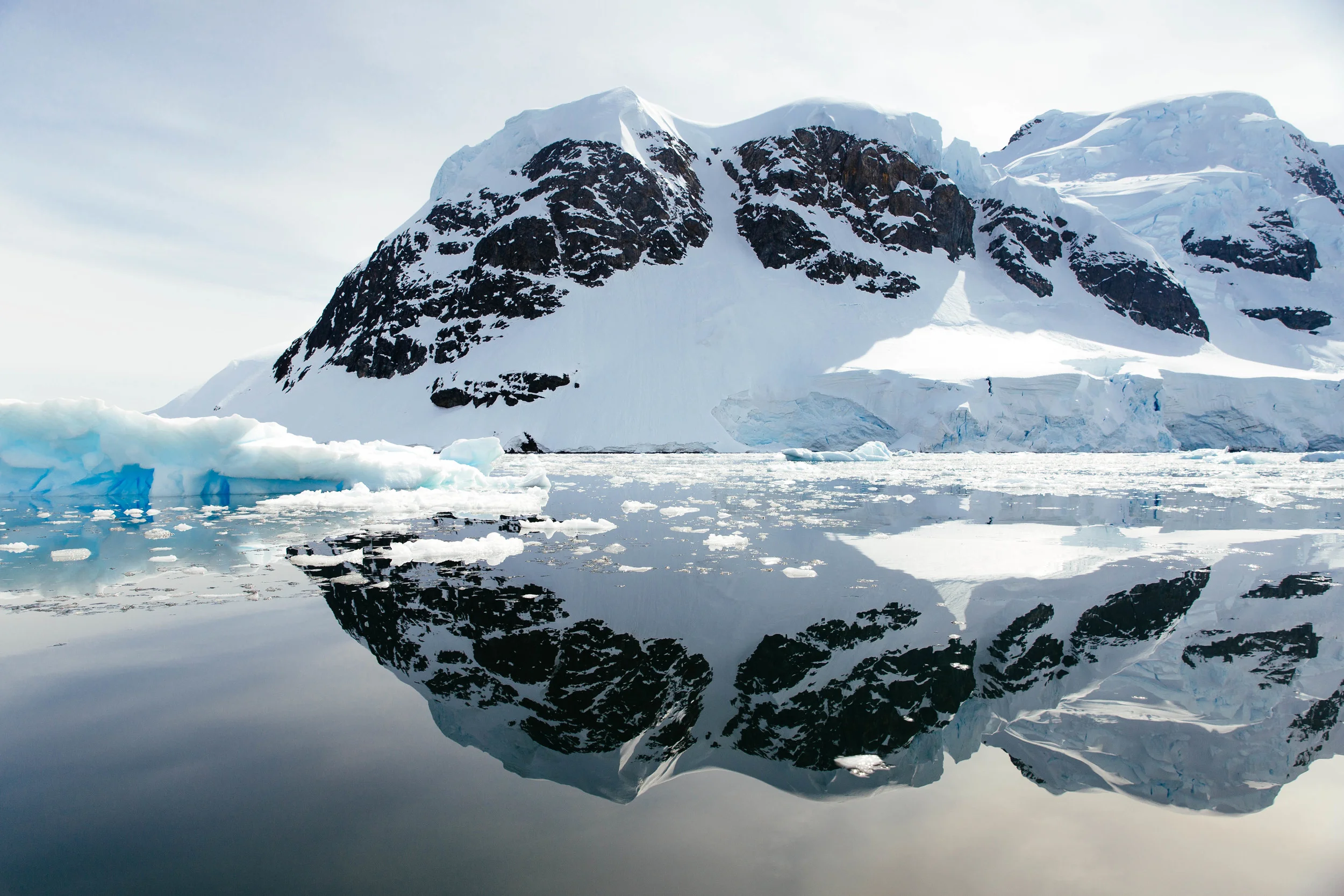 Ahh, Paradise Bay, where the sun was shining and the air was uncharacteristically warm. I took this photo while we were cruising around the bay, exploring the ice and glaciers from the zodiac. This is the only time I opted for the zodiac over the kayak, and in the case I'm glad I did. I was able to use my fancier lenses and capture this moment when the engine was off and the water was still. 