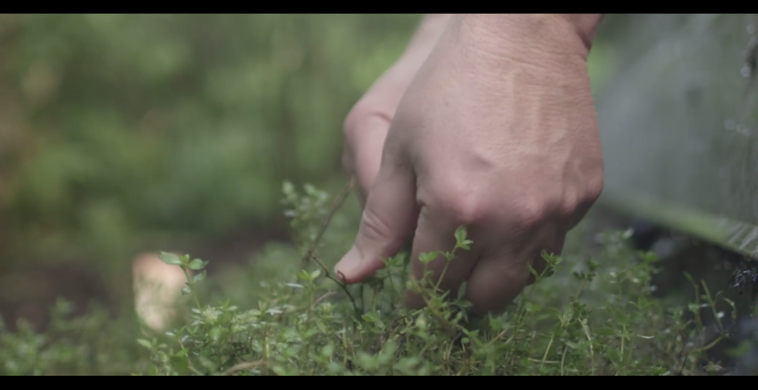 Screen Shot 2014-07-04 at 1.58.06 pm.png