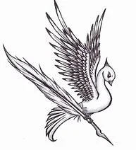 BIRD.jpg