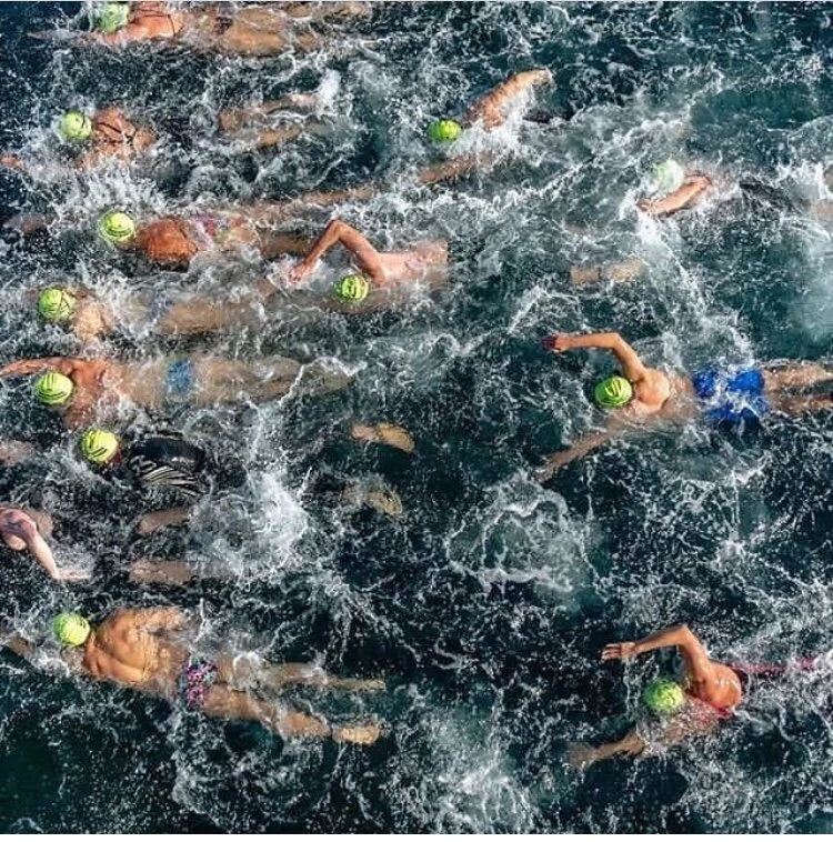 public swim.jpeg