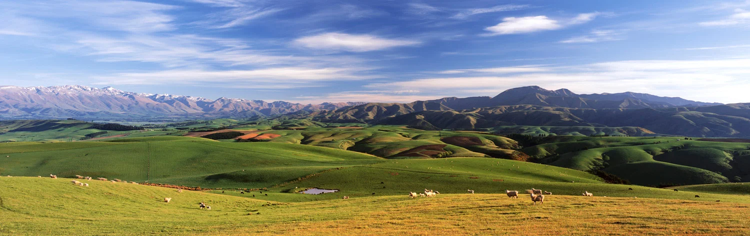 08.23FF1 Fairlie Farmland PAN 4x12.jpg