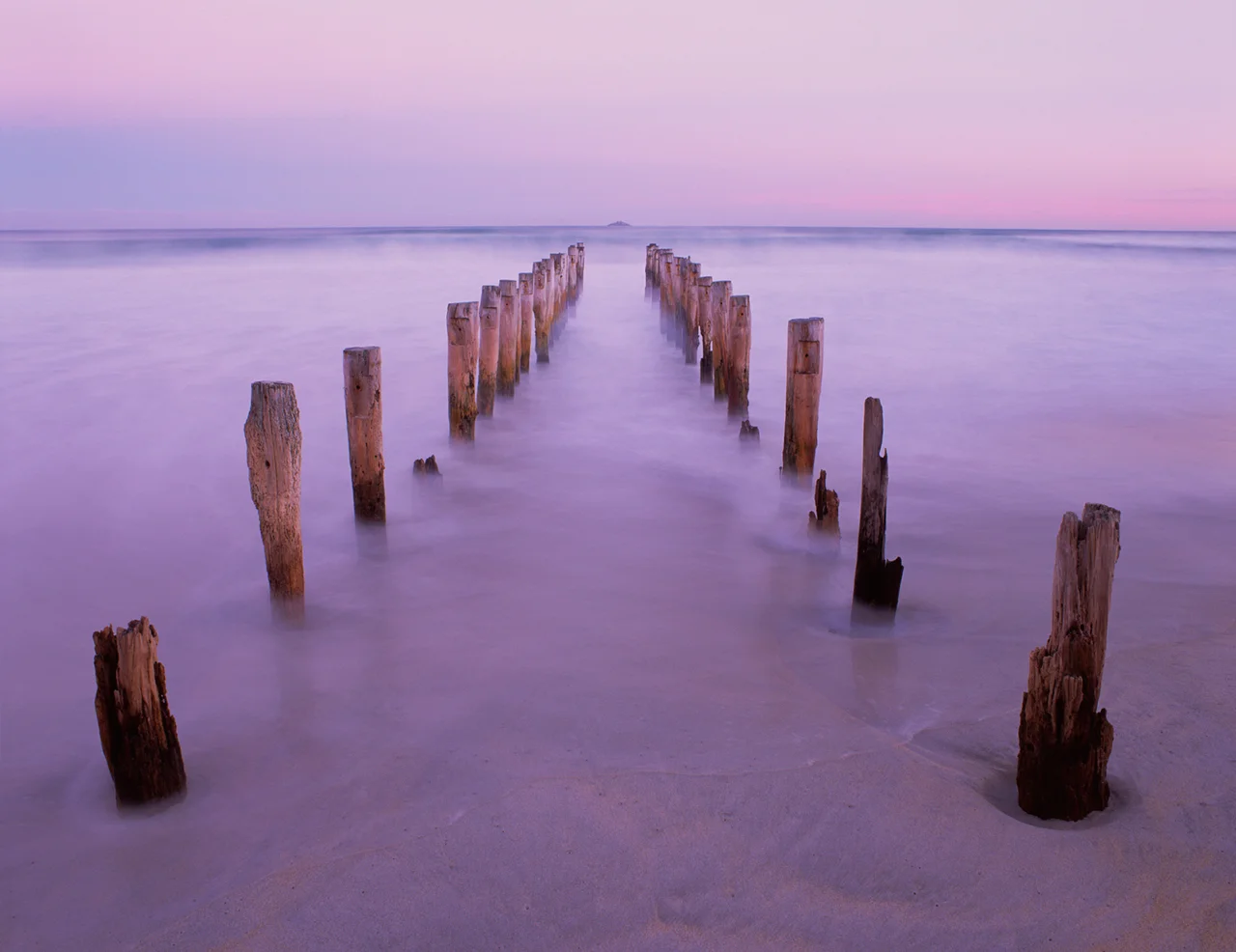02.AC Dunedin Piles.jpg