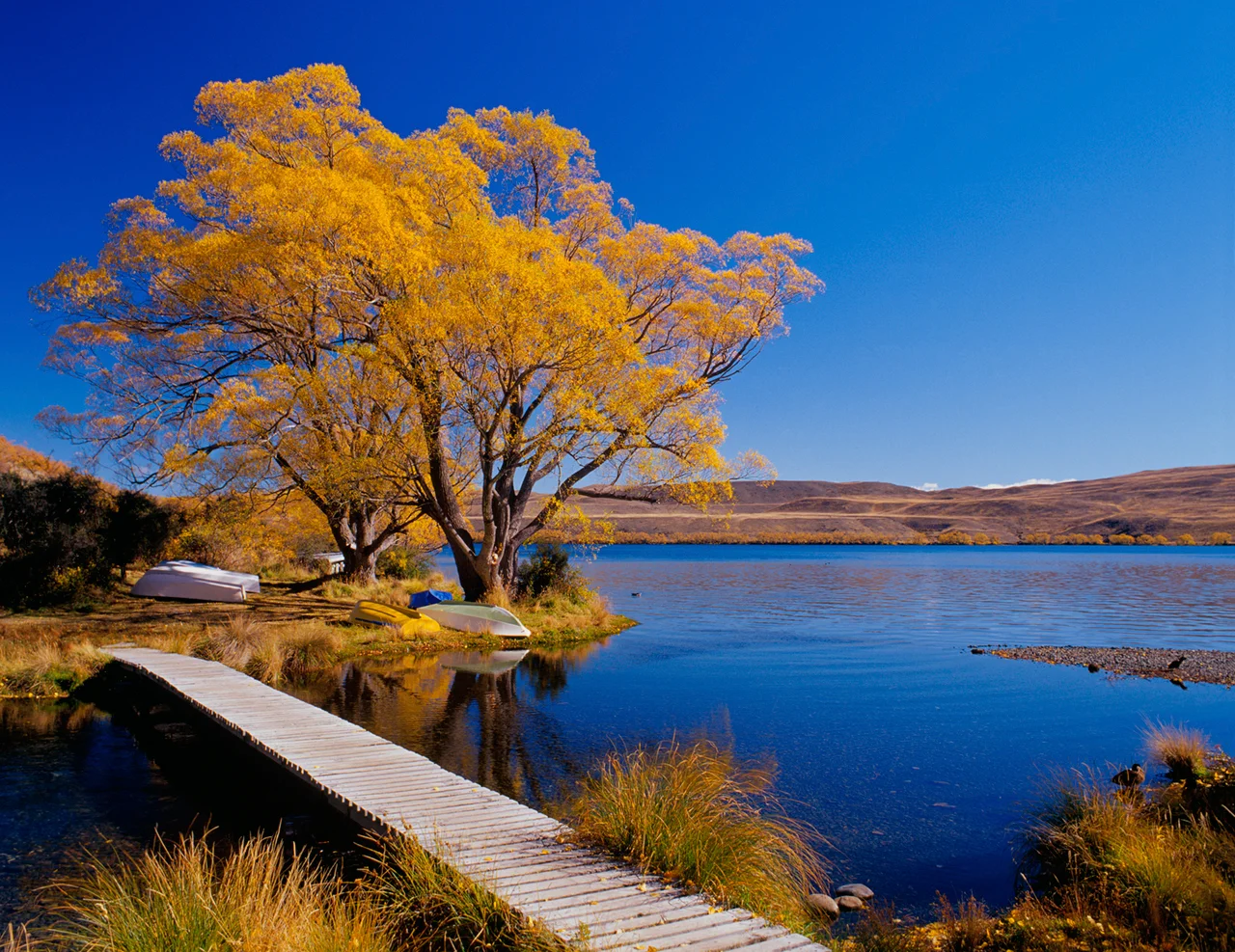 06.Lk Alexandria.jpg