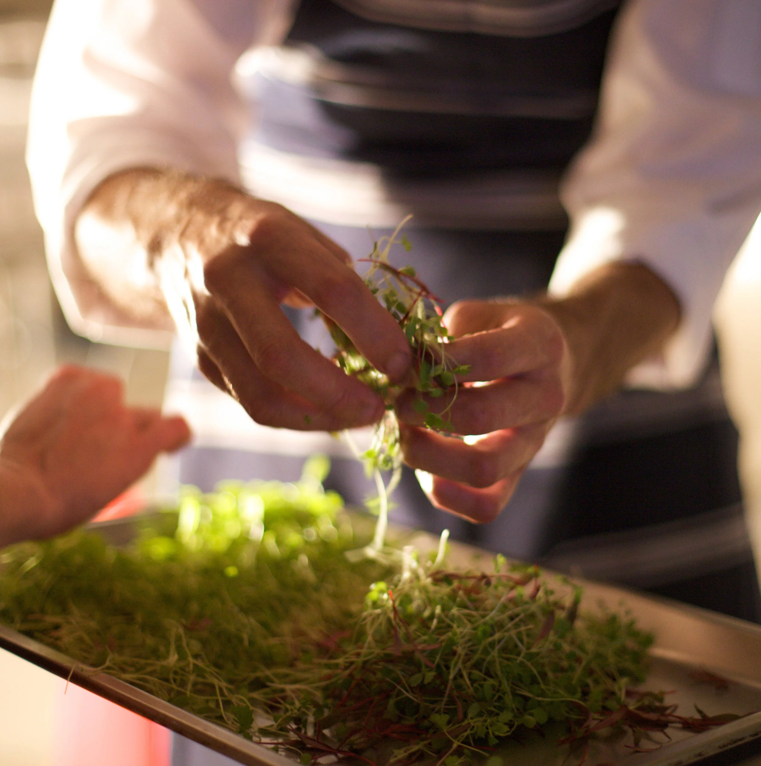 brick and herb thumb.jpg