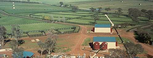Brooklyn Lodge under construction. It is now one of the premier farms in Australia now known as Newgate Farm