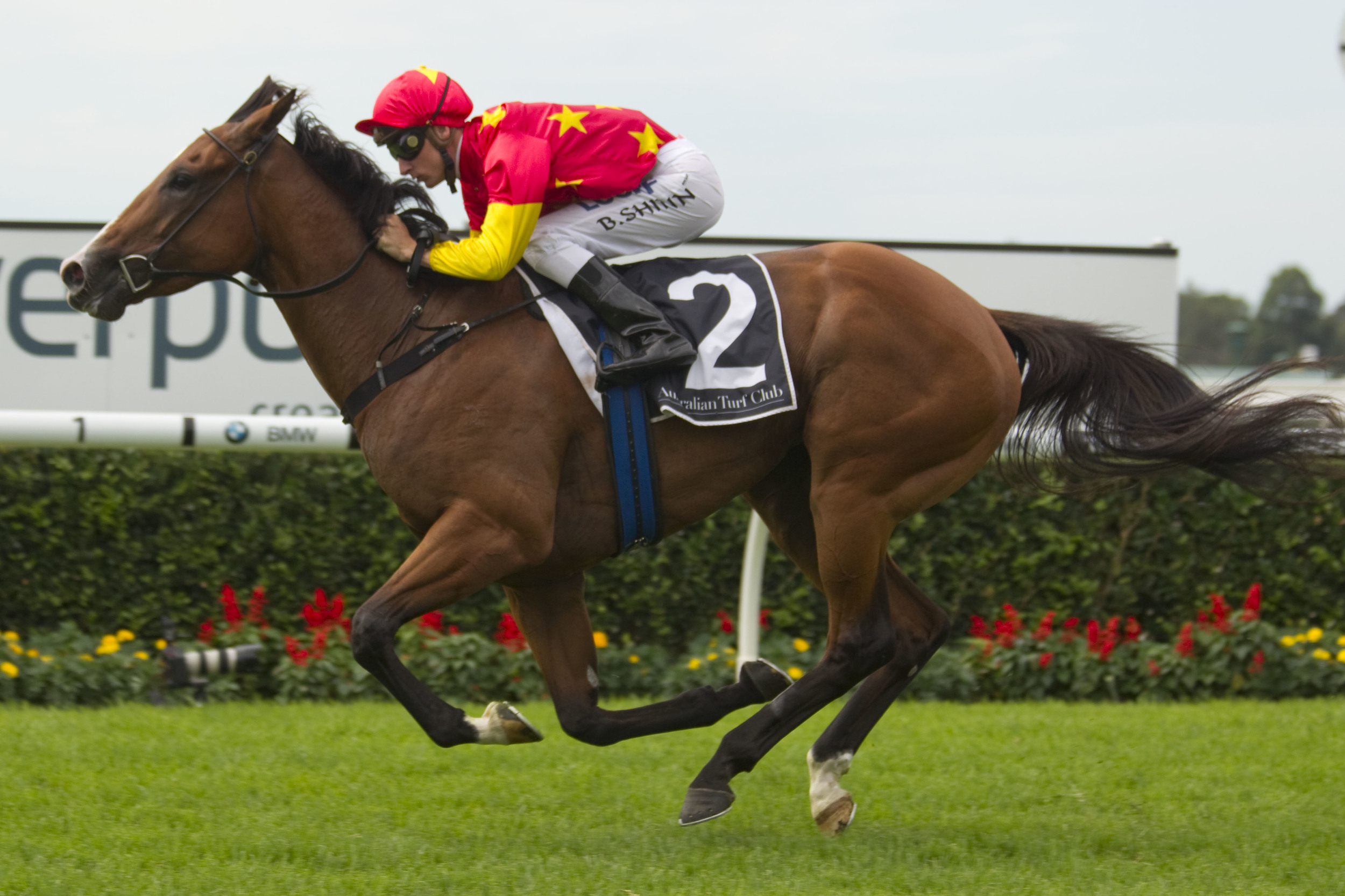 First Seal was a class above her rivals on Saturday. Picture: Martin King Sportpix