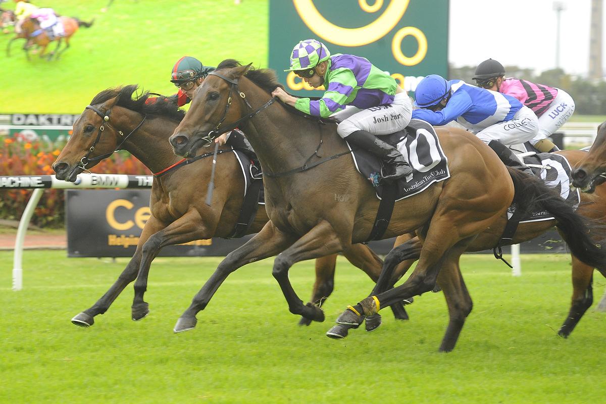 Figtree back to winning form at Rosehill on Saturday. Picture: Bradley Photography