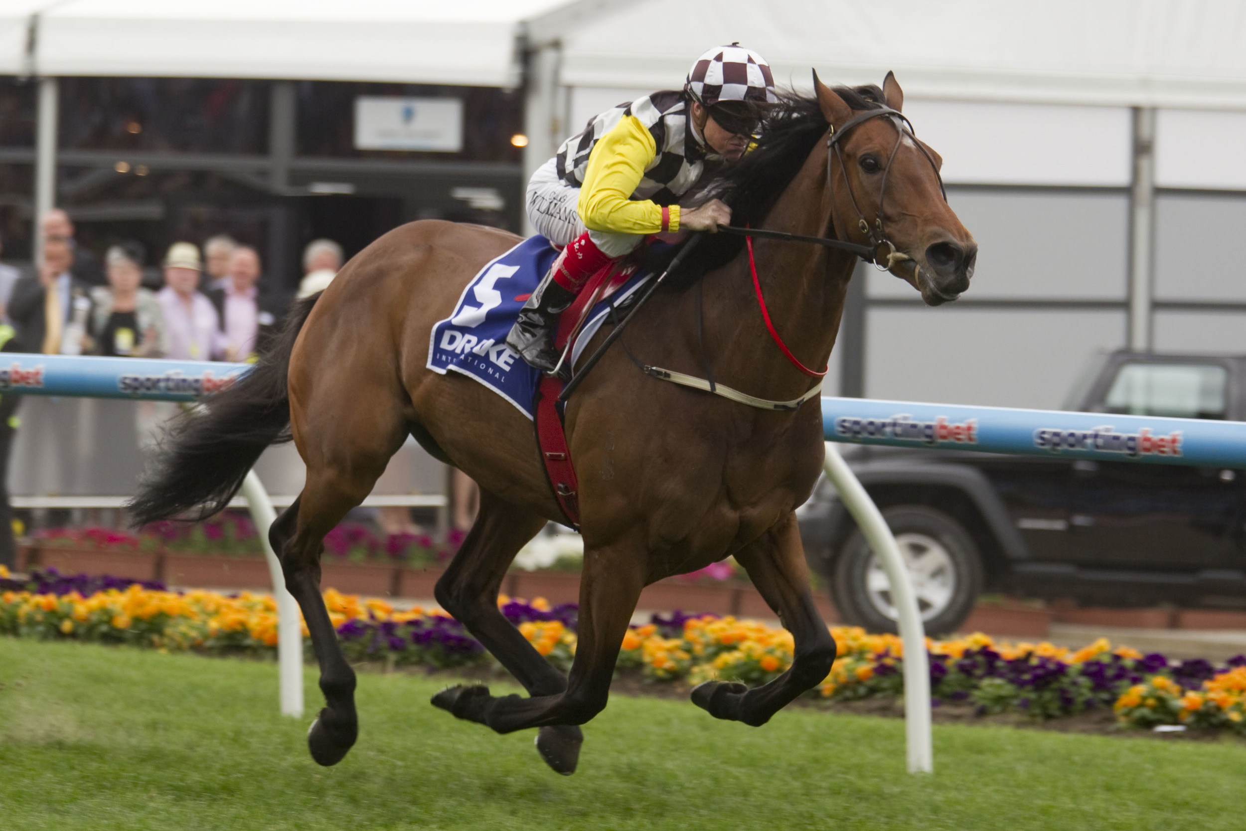 Precedence winning the Moonee Valley Cup