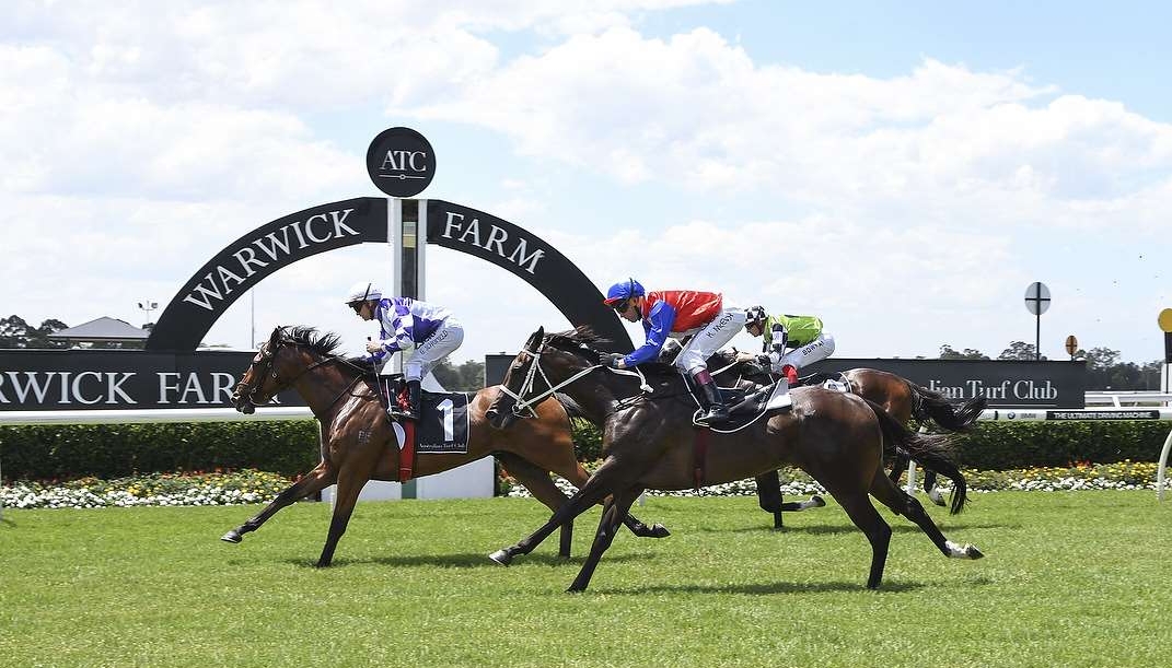 Gauguin winning at Warwick Farm