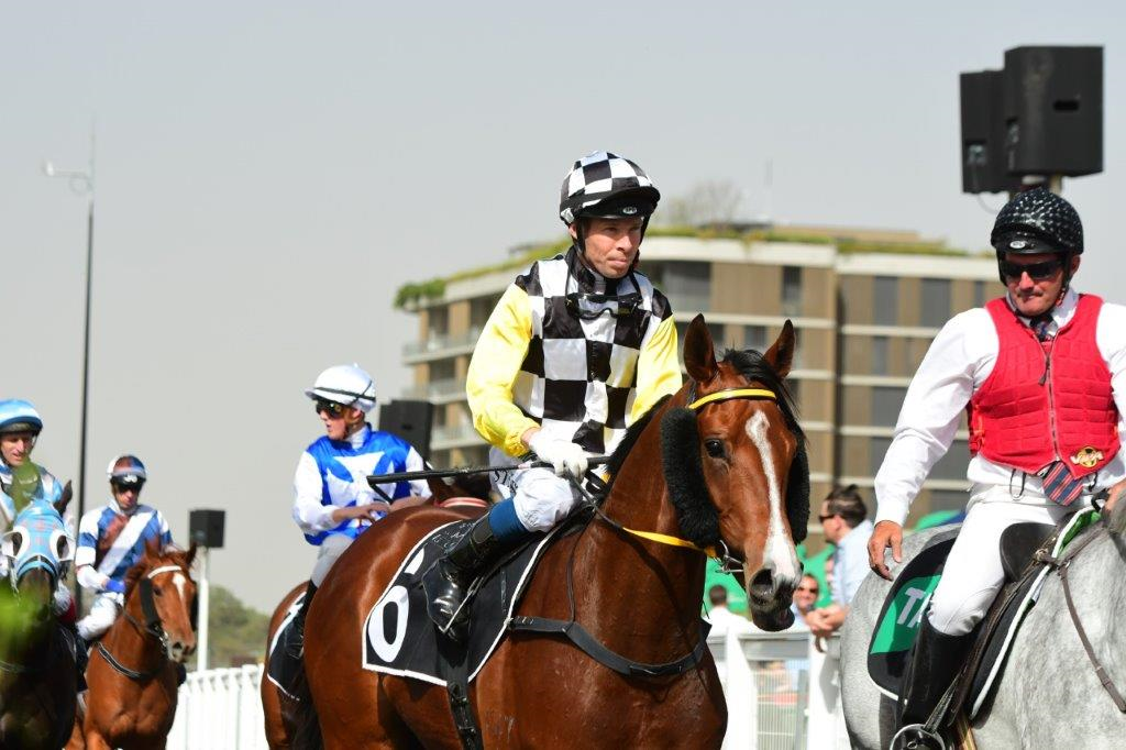 Profit returns to scale at Eagle Farm on Saturday 7th September thus far unbeaten