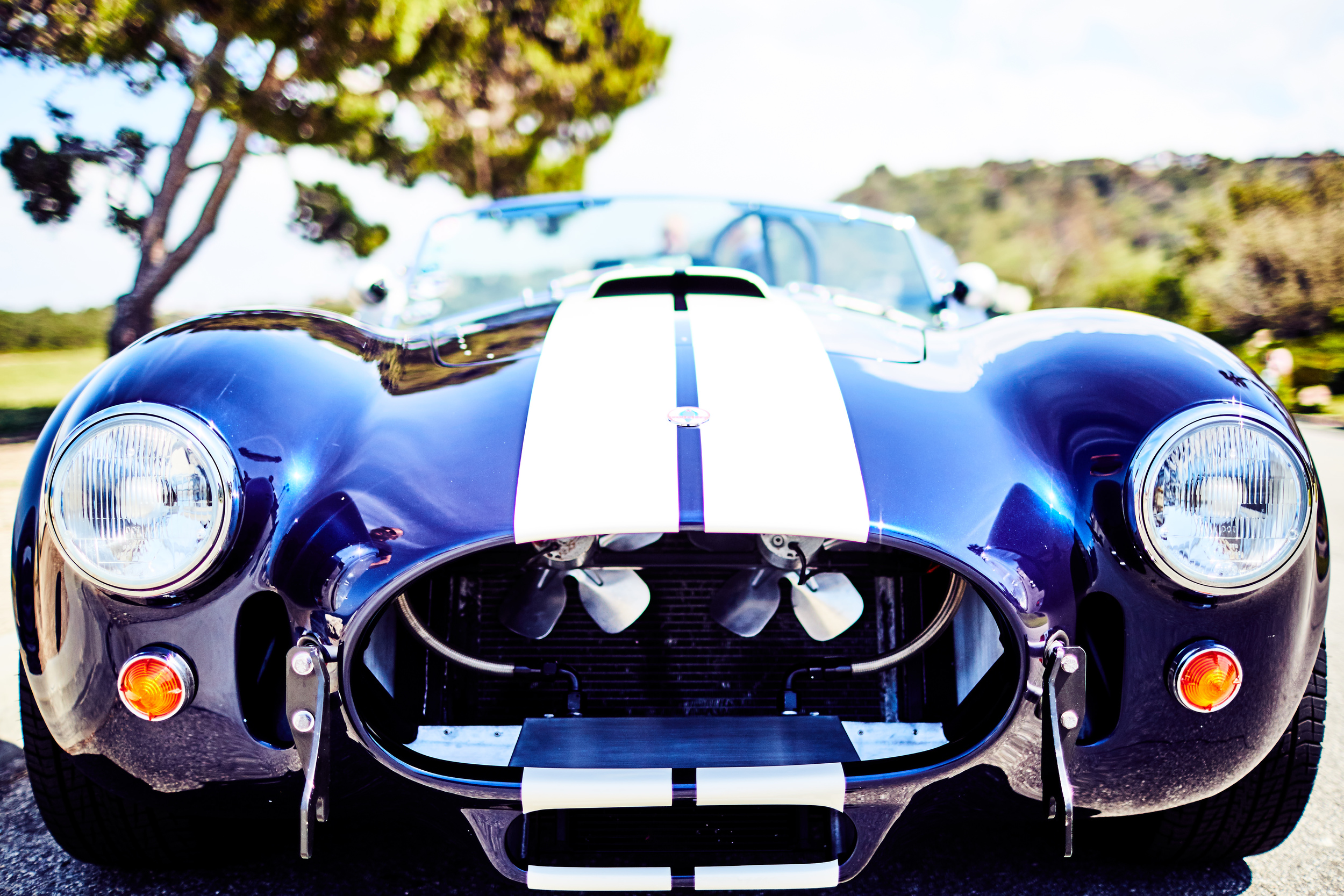 03_30_16_Cobra_11.jpg