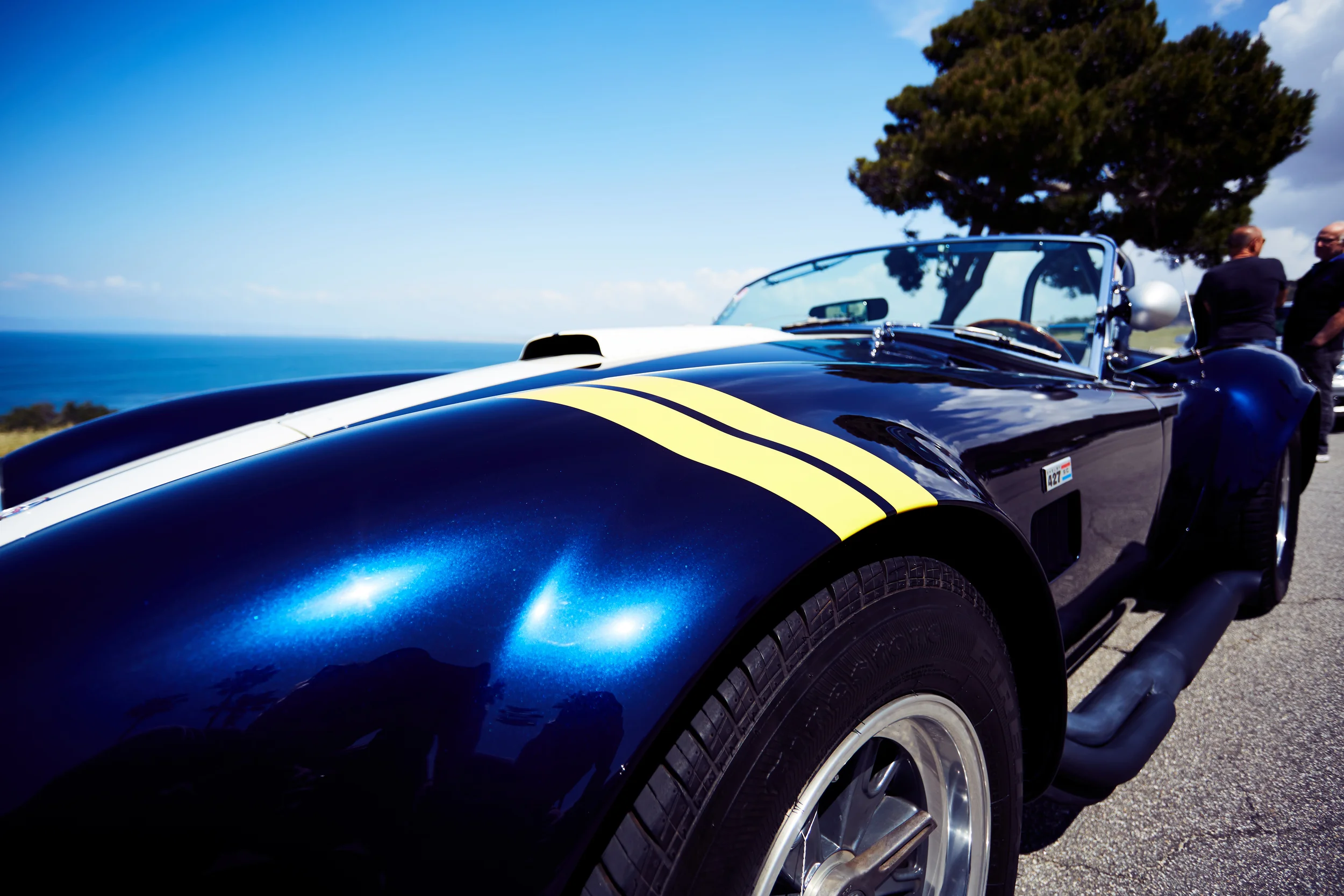 03_30_16_Cobra_25.jpg