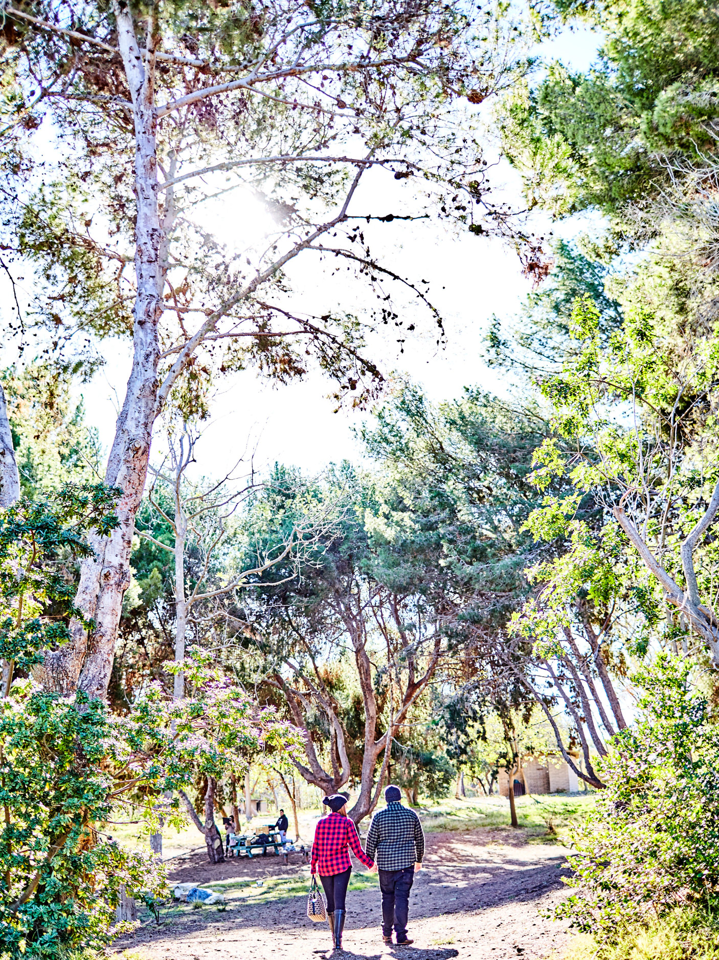  Wilderness Park Redondo Beach Engagement Photographs and Wilderness Park Redondo Beach Engagement Photography, Wilderness Park Redondo Beach Engagement Photographer, Wilderness Park Redondo Beach Engagement Photos from Fine Art Family Portrait Photo