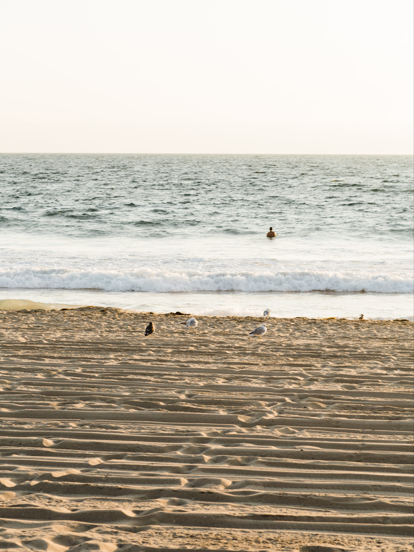  El Porto Manhattan Beach Family Portrait Photographs and El Porto Manhattan Beach Family Portrait Photographs, El Porto Manhattan Beach Family Portrait Photographs, Photographer, El Porto Manhattan Beach Family Portrait Photographs from Fine Art Fam