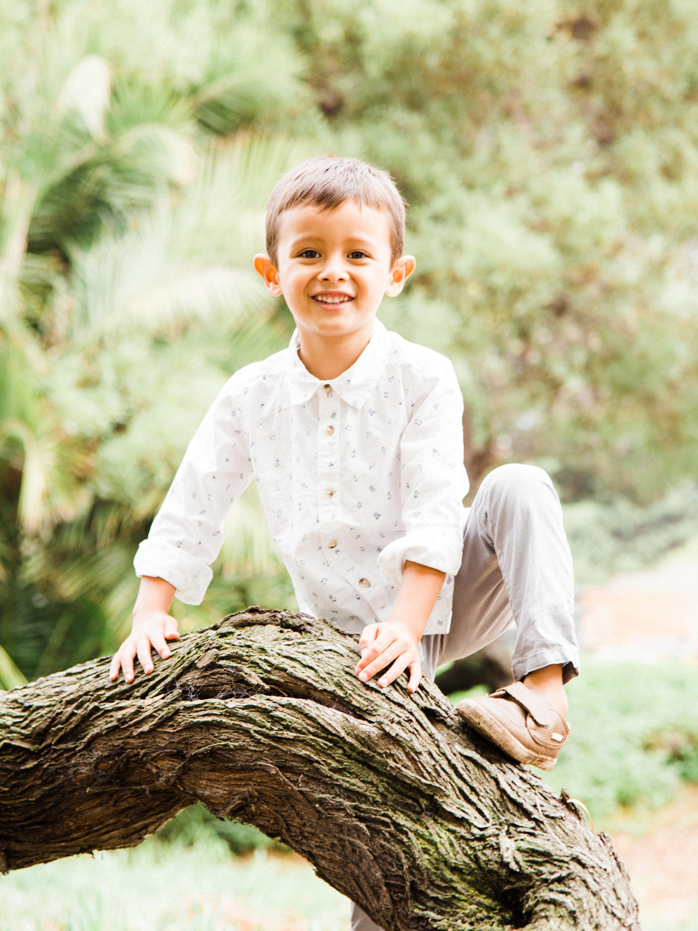 Valley Park Hermosa Beach Valley Park Hermosa Beach Family Portrait Photographs and Valley Park Hermosa Beach Family Portrait Photography from Fine Art Family Portrait Photographer, engagement photographer and Wedding Photographer Daniel Doty Photography.