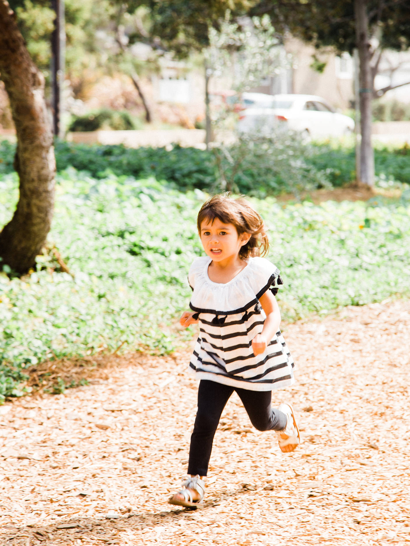 Valley Park Hermosa Beach Valley Park Hermosa Beach Family Portrait Photographs and Valley Park Hermosa Beach Family Portrait Photography from Fine Art Family Portrait Photographer, engagement photographer and Wedding Photographer Daniel Doty Photography.
