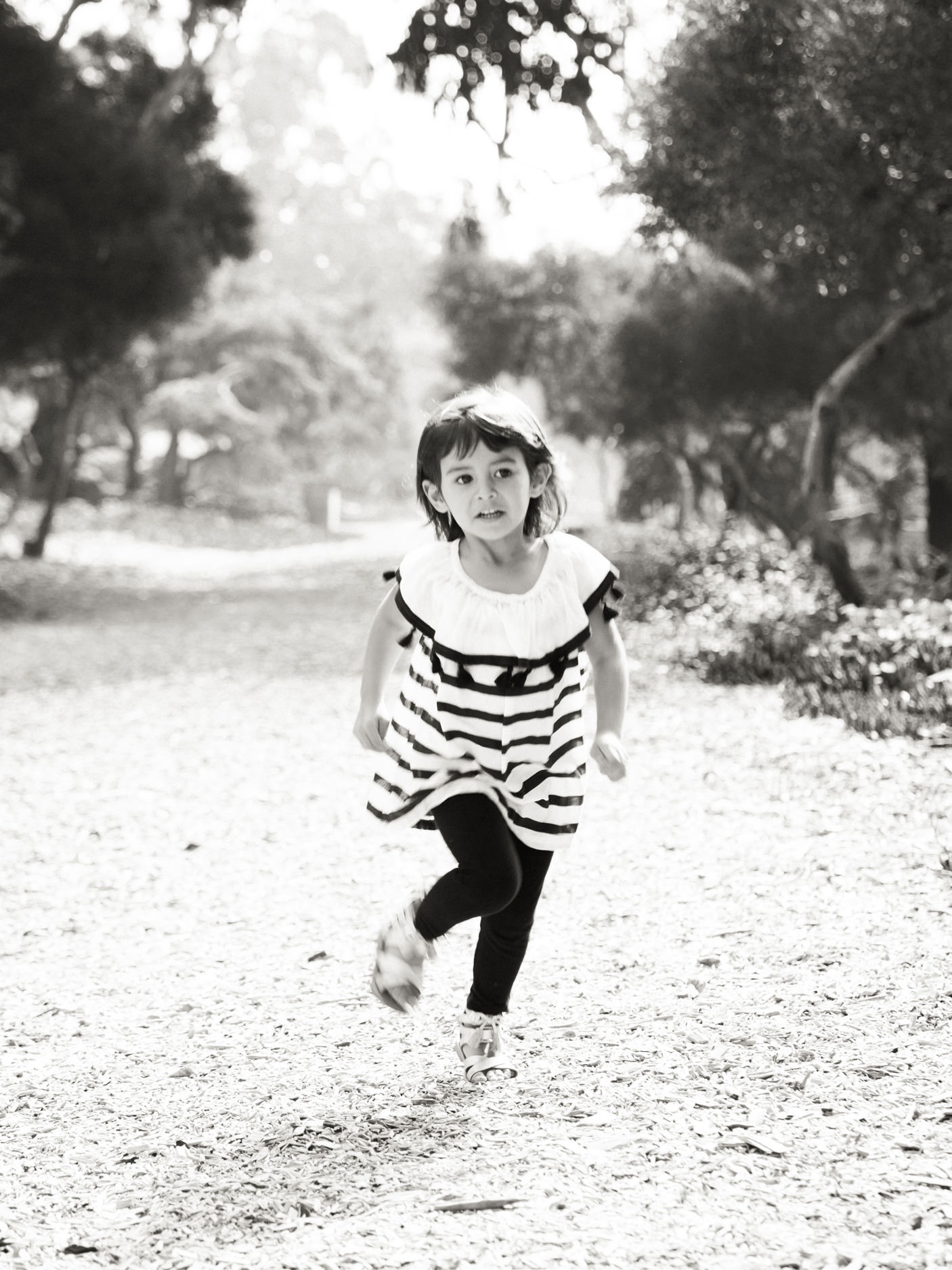  Valley Park Hermosa Beach Valley Park Hermosa Beach Family Portrait Photographs and Valley Park Hermosa Beach Family Portrait Photography from Fine Art Family Portrait Photographer, engagement photographer and Wedding Photographer Daniel Doty Photog