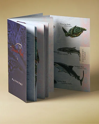  Mandalay Bay/Shark Reef Brochure 