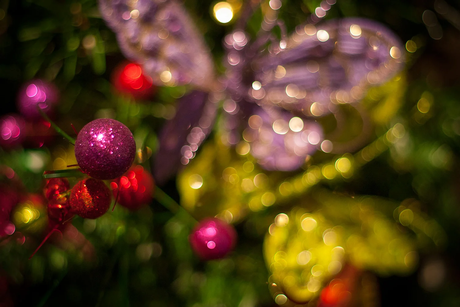 xmas4.jpg