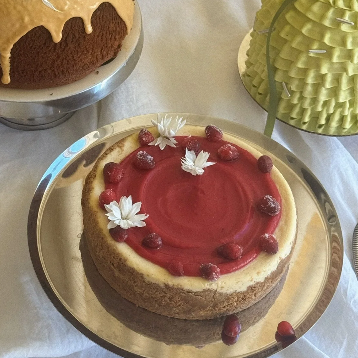 Cranberry Cheesecake