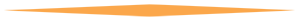 FQ-Divider_orange.png