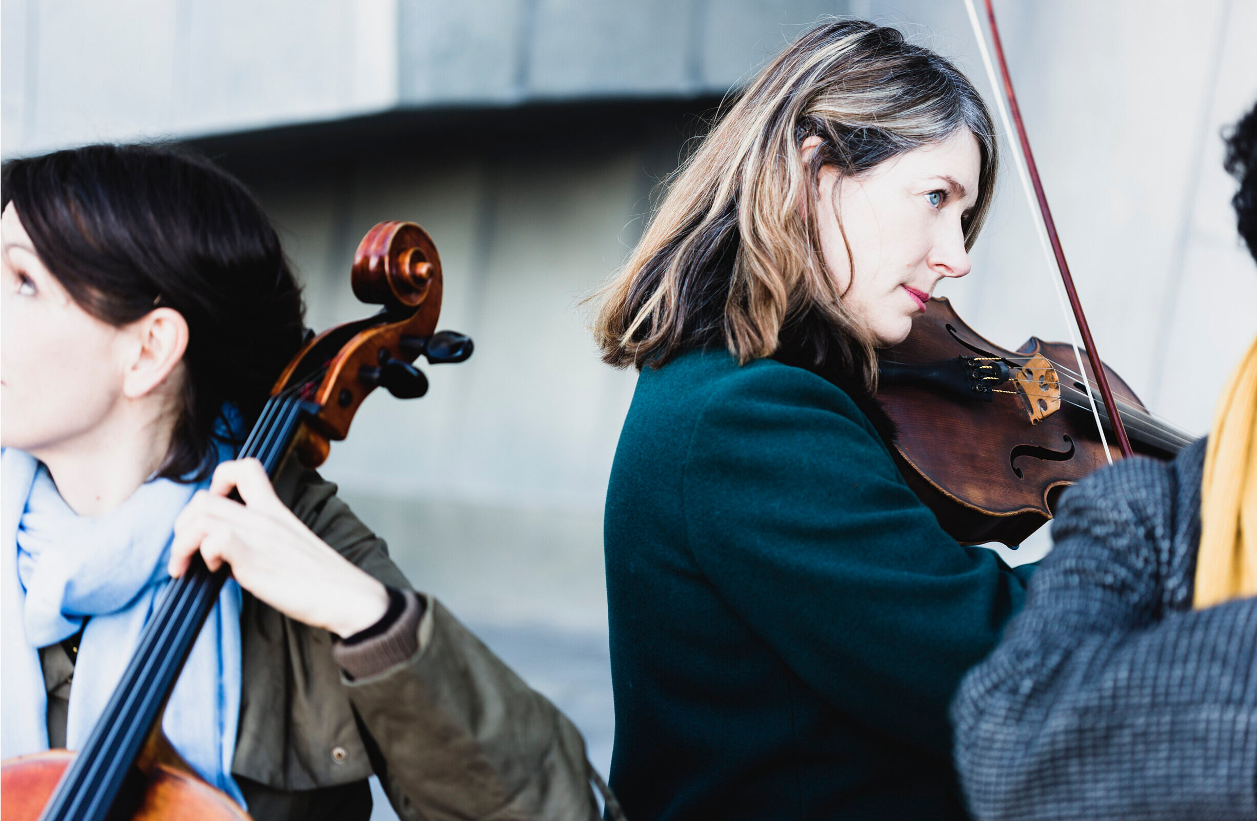 FlindersQuartet_photoPiaJohnson_245.jpg
