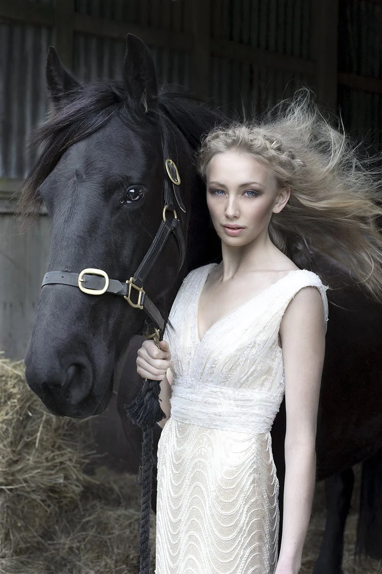 Horse.jpg