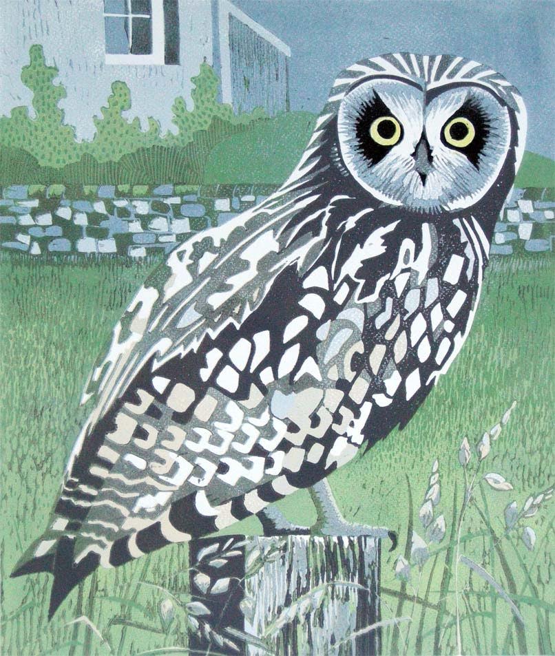 "Short-eared Owl"