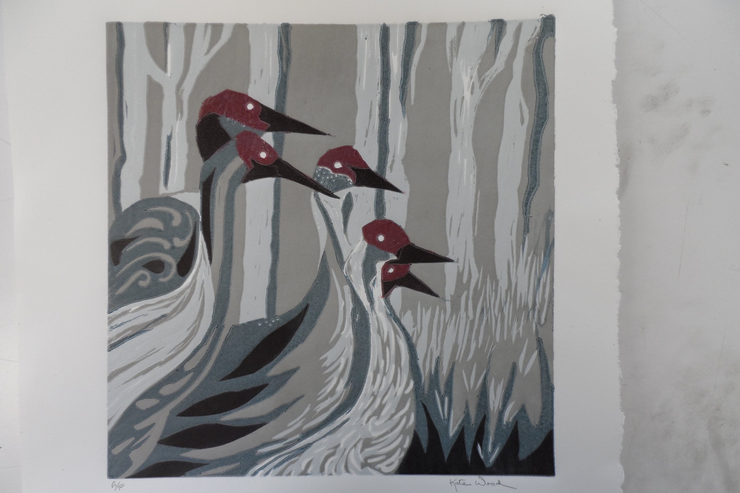 "Sandhill cranes"