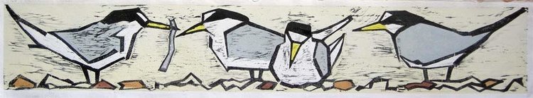"LITTLE TERNS" by Lisa Hooper website: www.hoopoeprints.co.uk