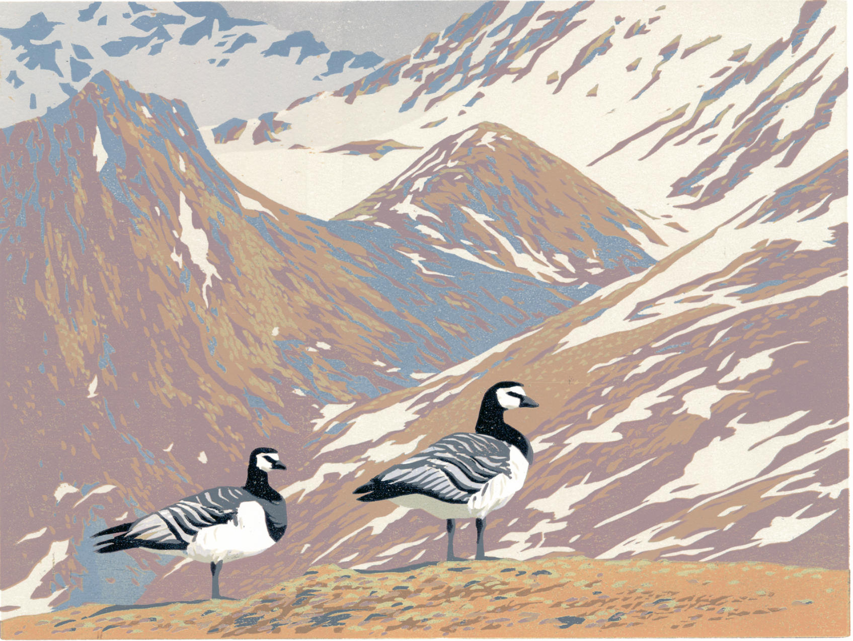 "Svalbard geese" woodcut 13 colors