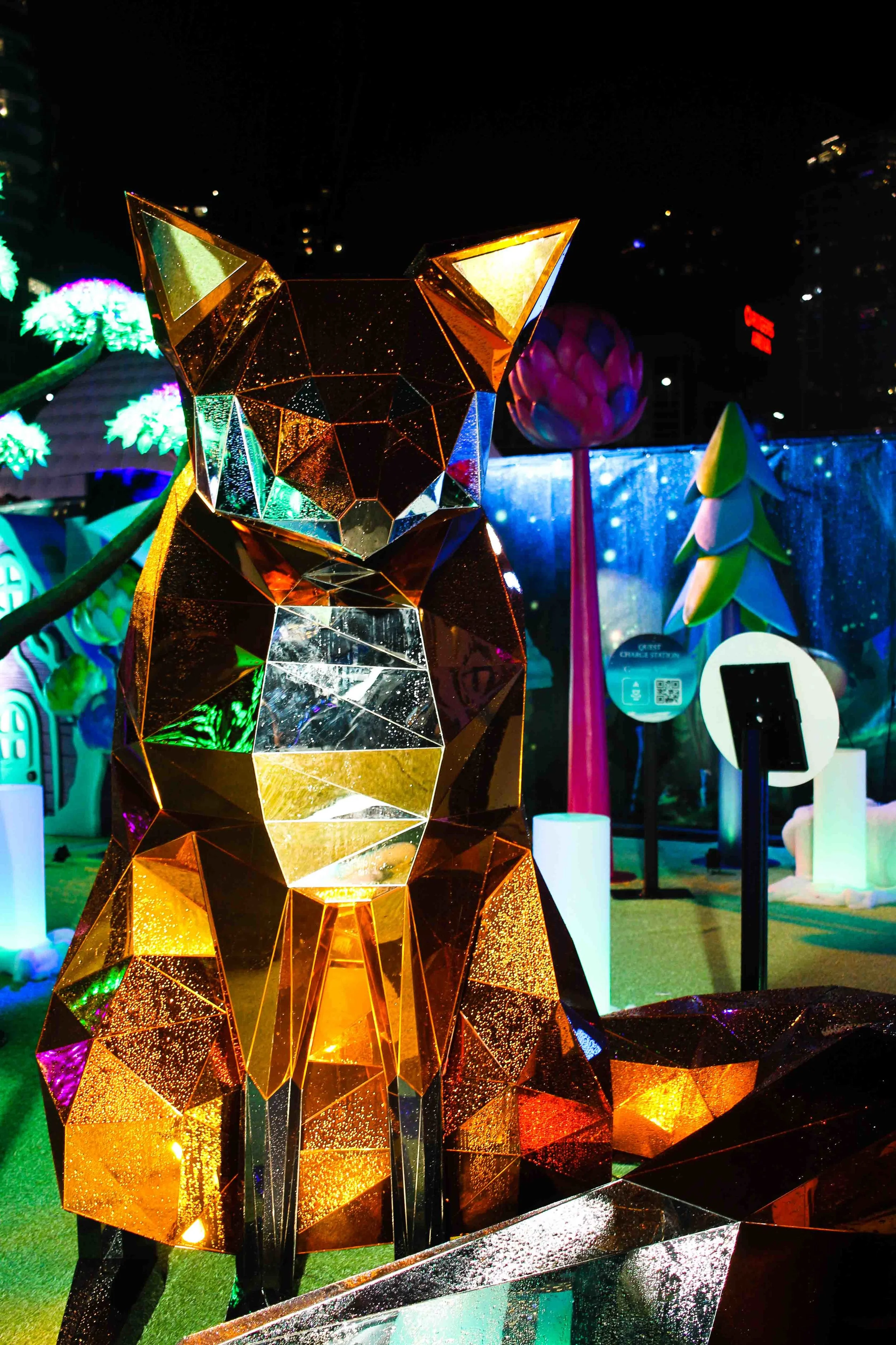 Aurora Fest (17 of 18).jpg