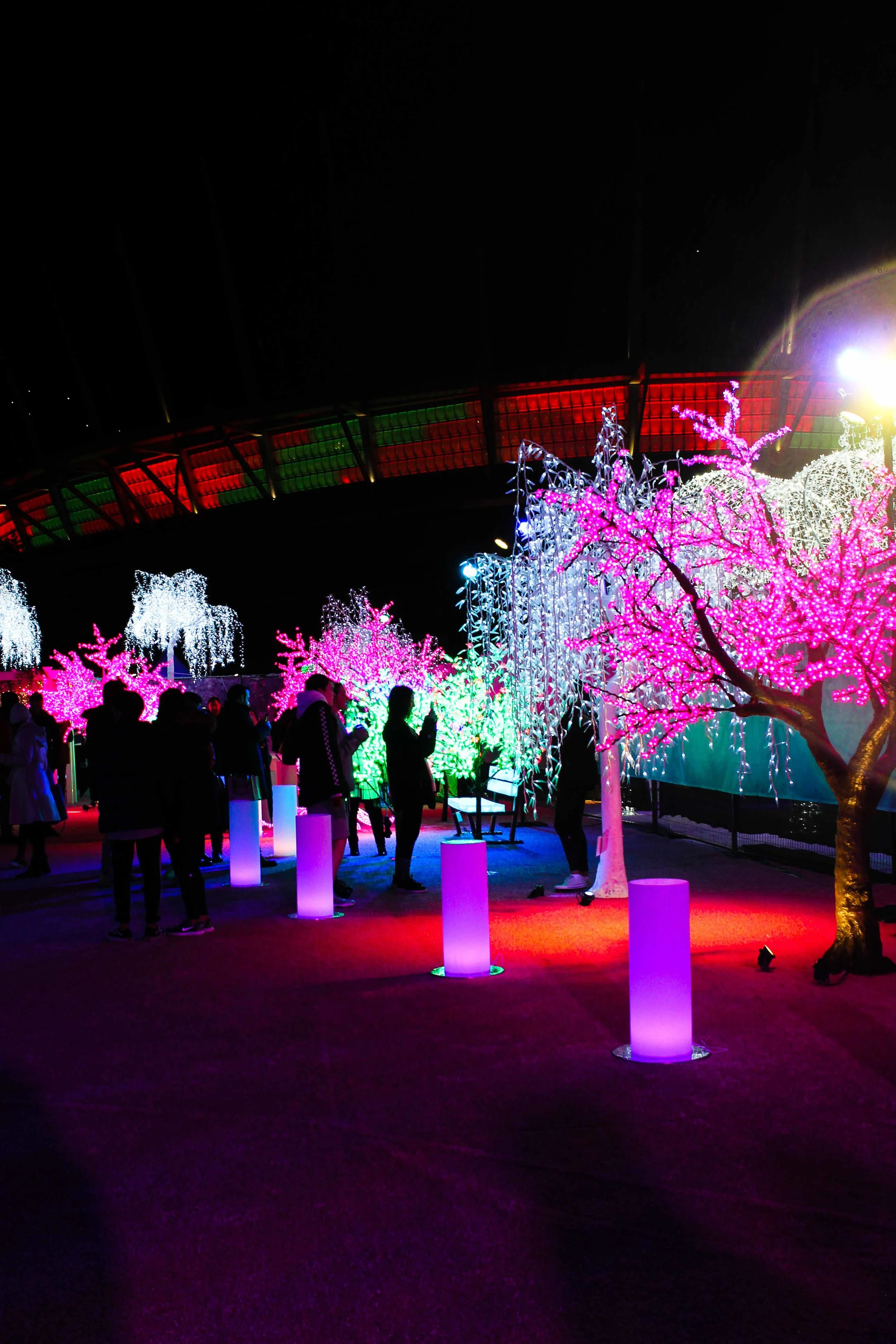 Aurora Fest (14 of 18).jpg