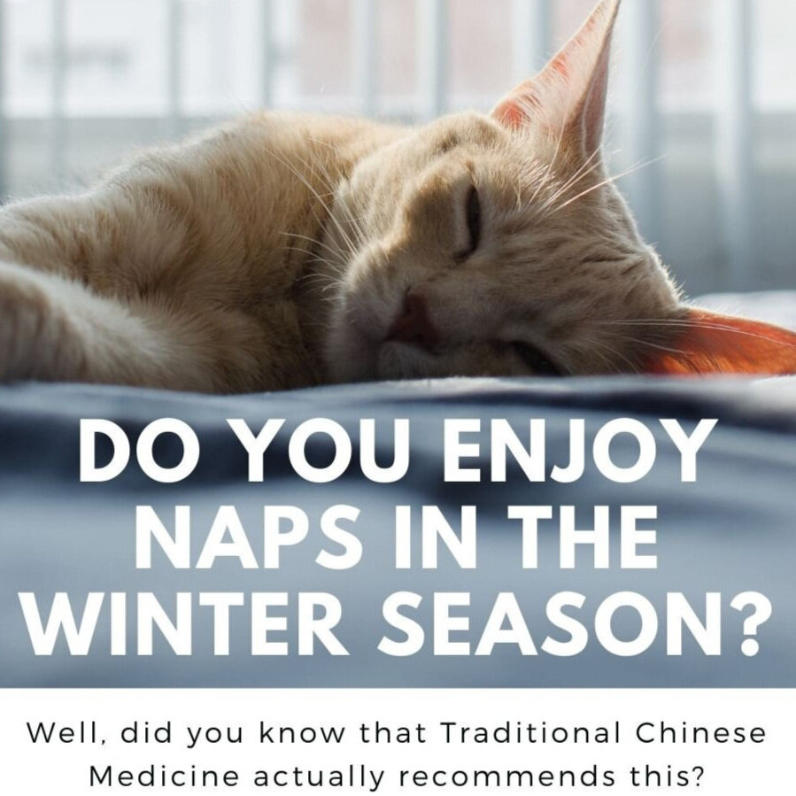 Do you enjoy naps in the winter season? Well, did you know that Traditional Chinese Medicine actually recommends this?