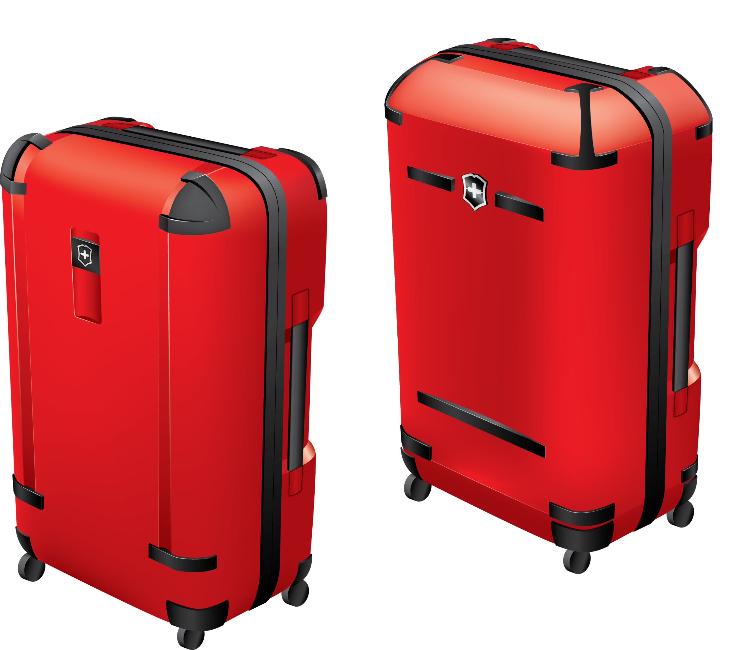  Illustrator rendering 