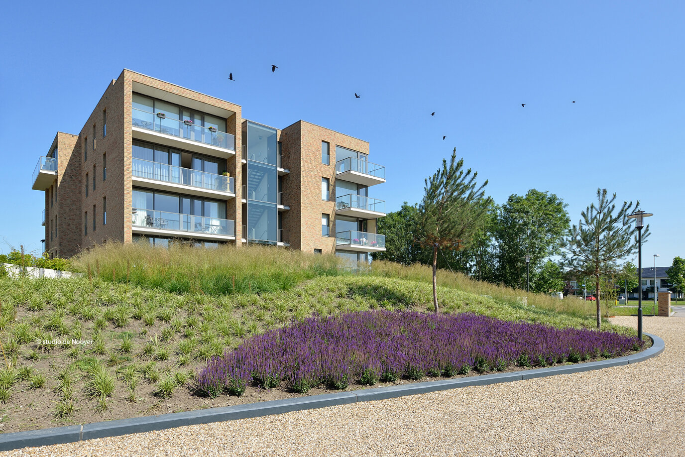 7898 Social Housing Almere CHANGE.NL.jpg