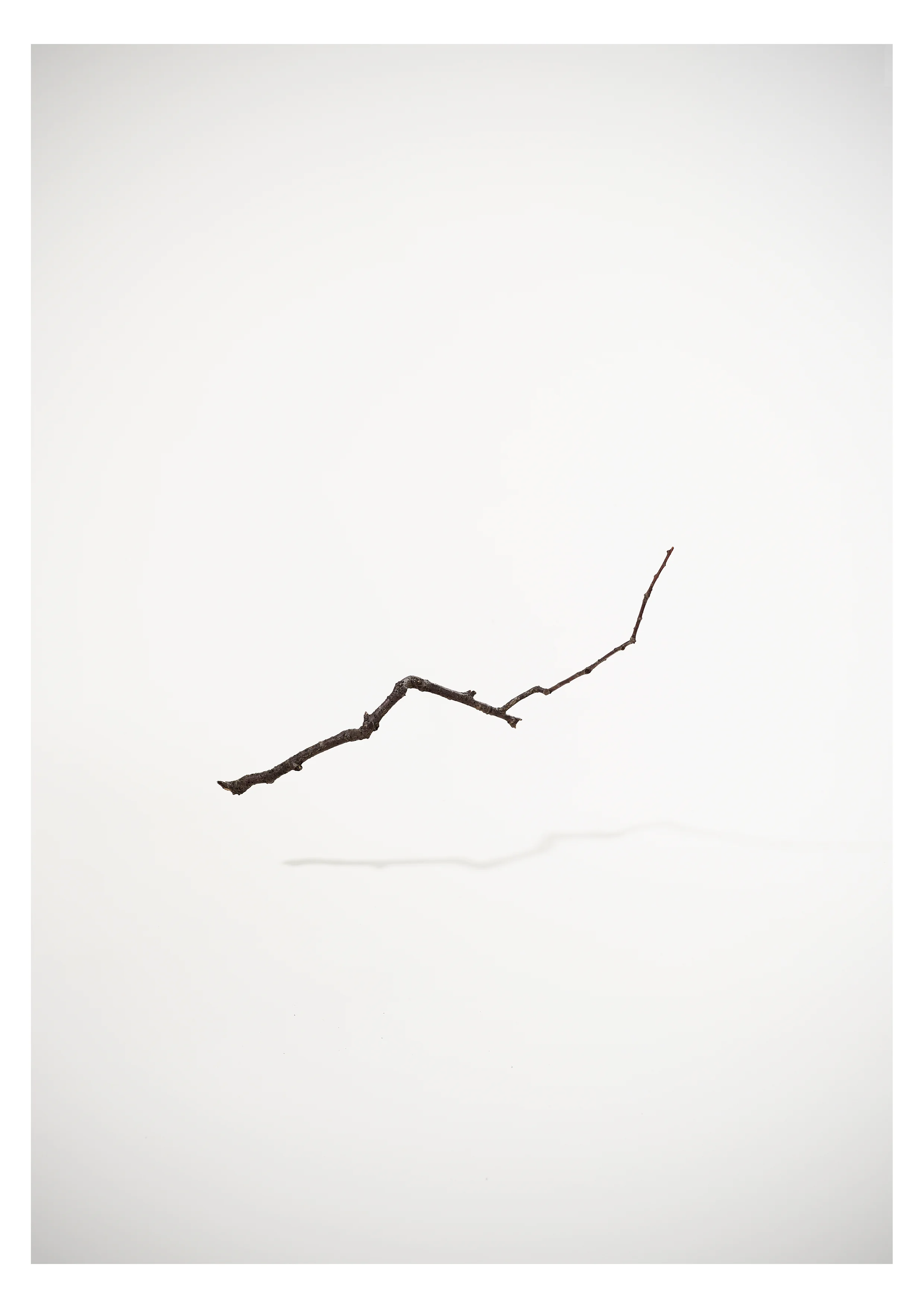 Main_motiv_Vertical_Serie_1.jpg
