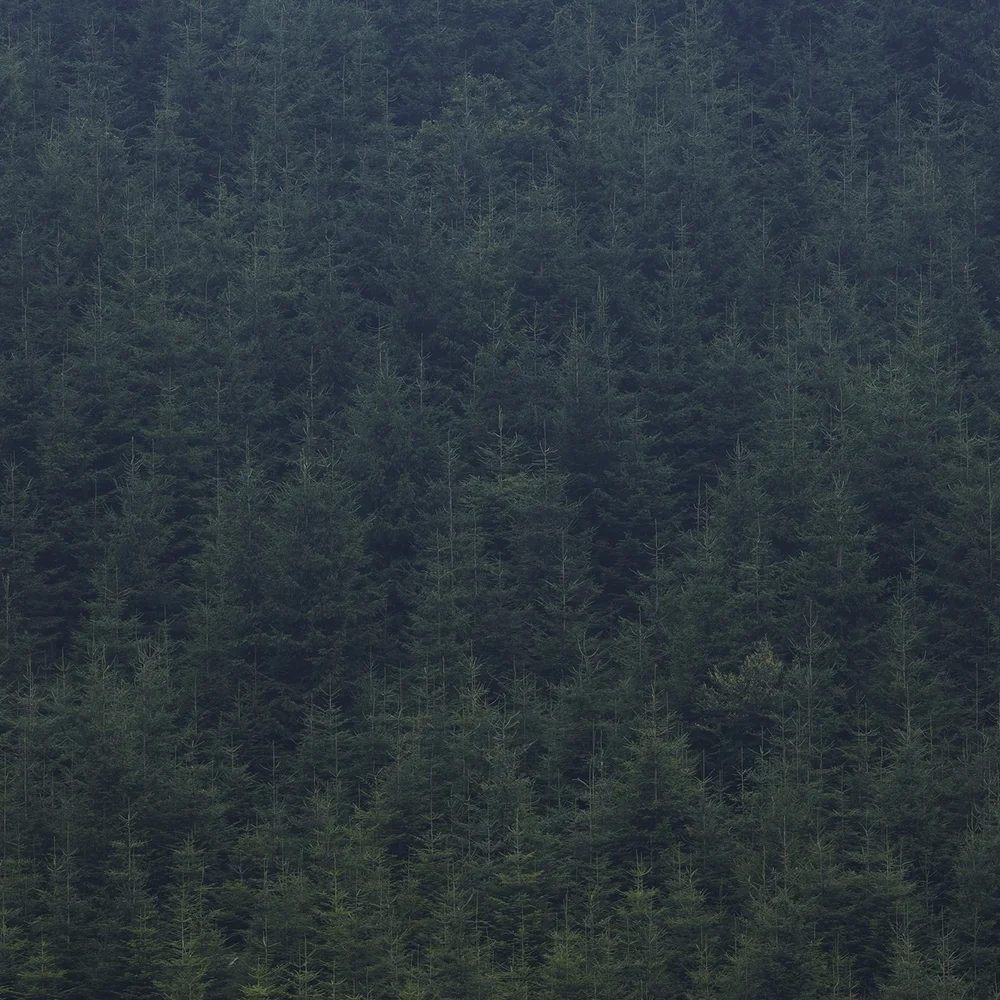 Landscape_a_posteriori_Tuma_09.jpg