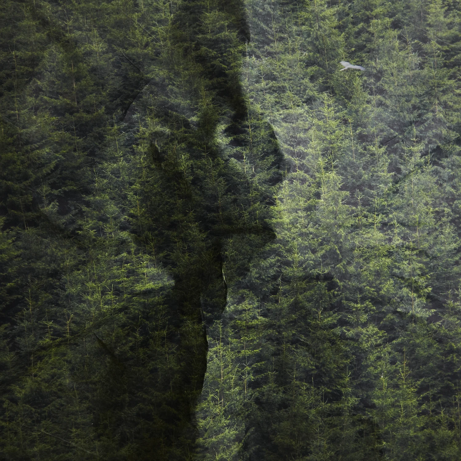 Untitled_Landscapes_Martin_Tuma_cover.jpg