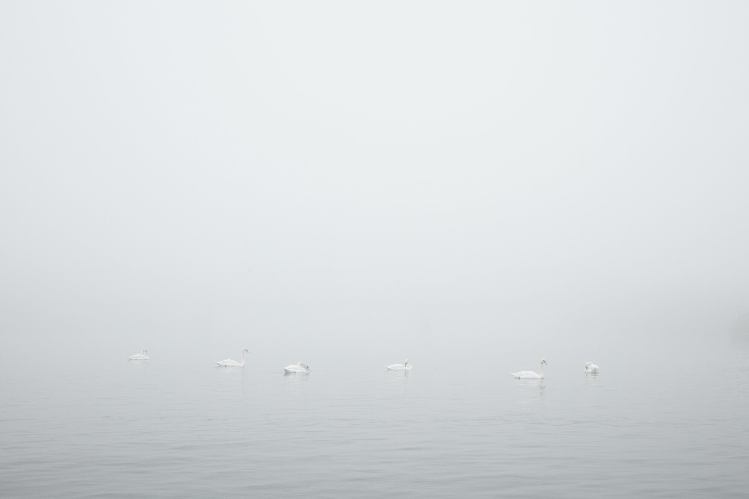 42_Petr_Janda_Brainwork_Prague_riverfront_Horejsi_embankment_BoysPlayNice.jpg