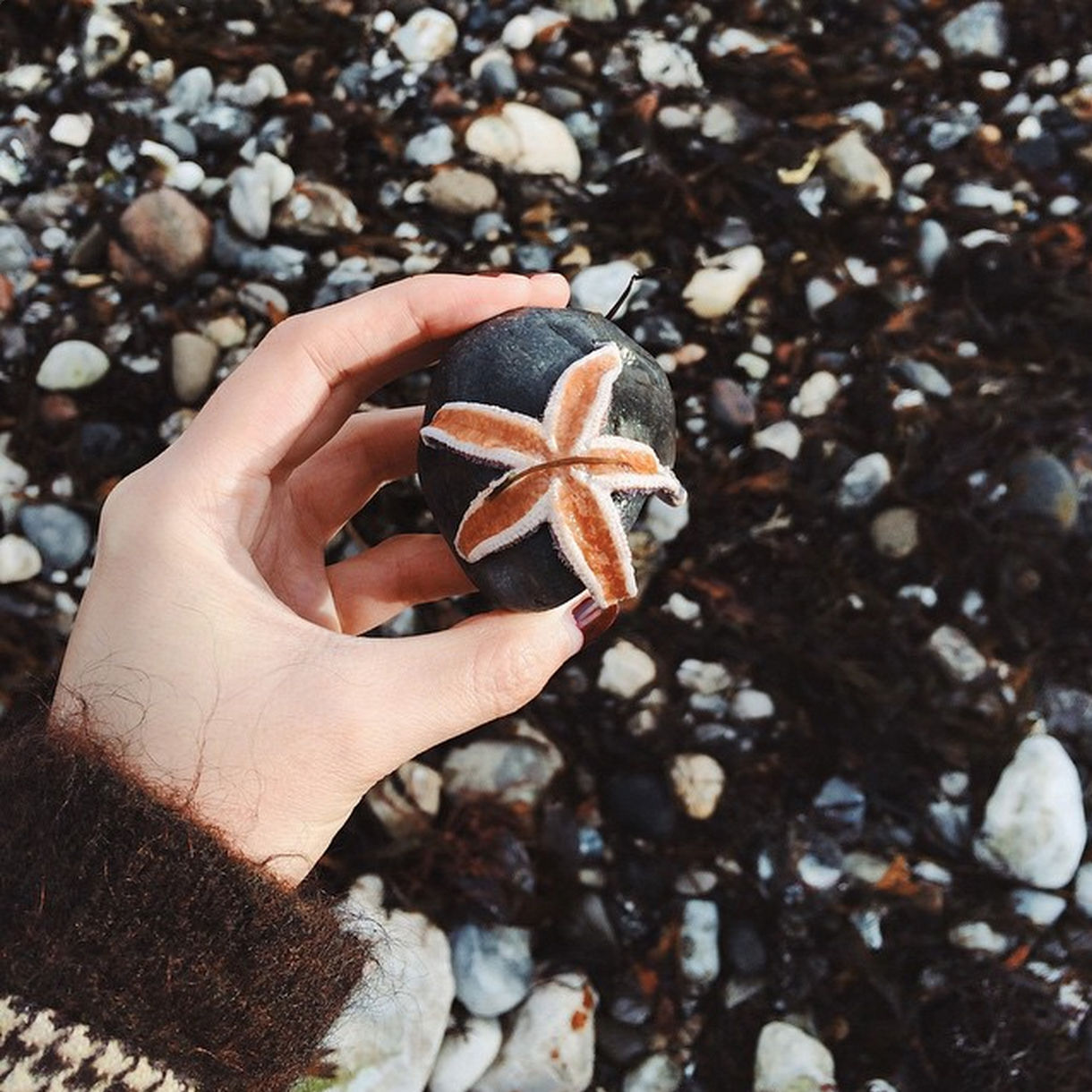 @halfgirl - Lots of earthy tones and wildlife shots from this natural history conservation student who lives in Copenhagen. Life looks serene and beautiful in this feed.