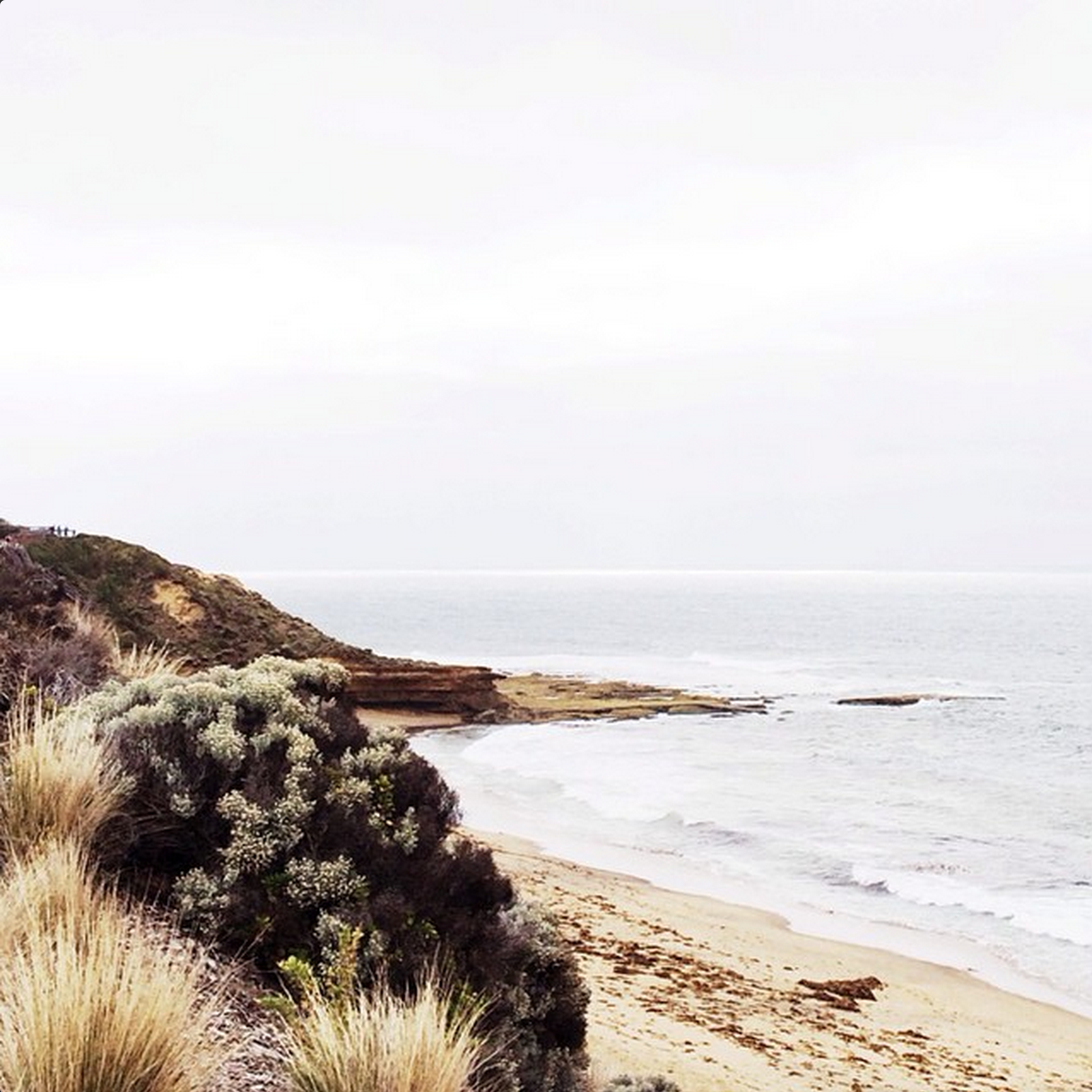 @tarapearce_ - A photographer living in Australia, there is a mix of all sorts in her feed but it is all held together with consistently lovely photography. 