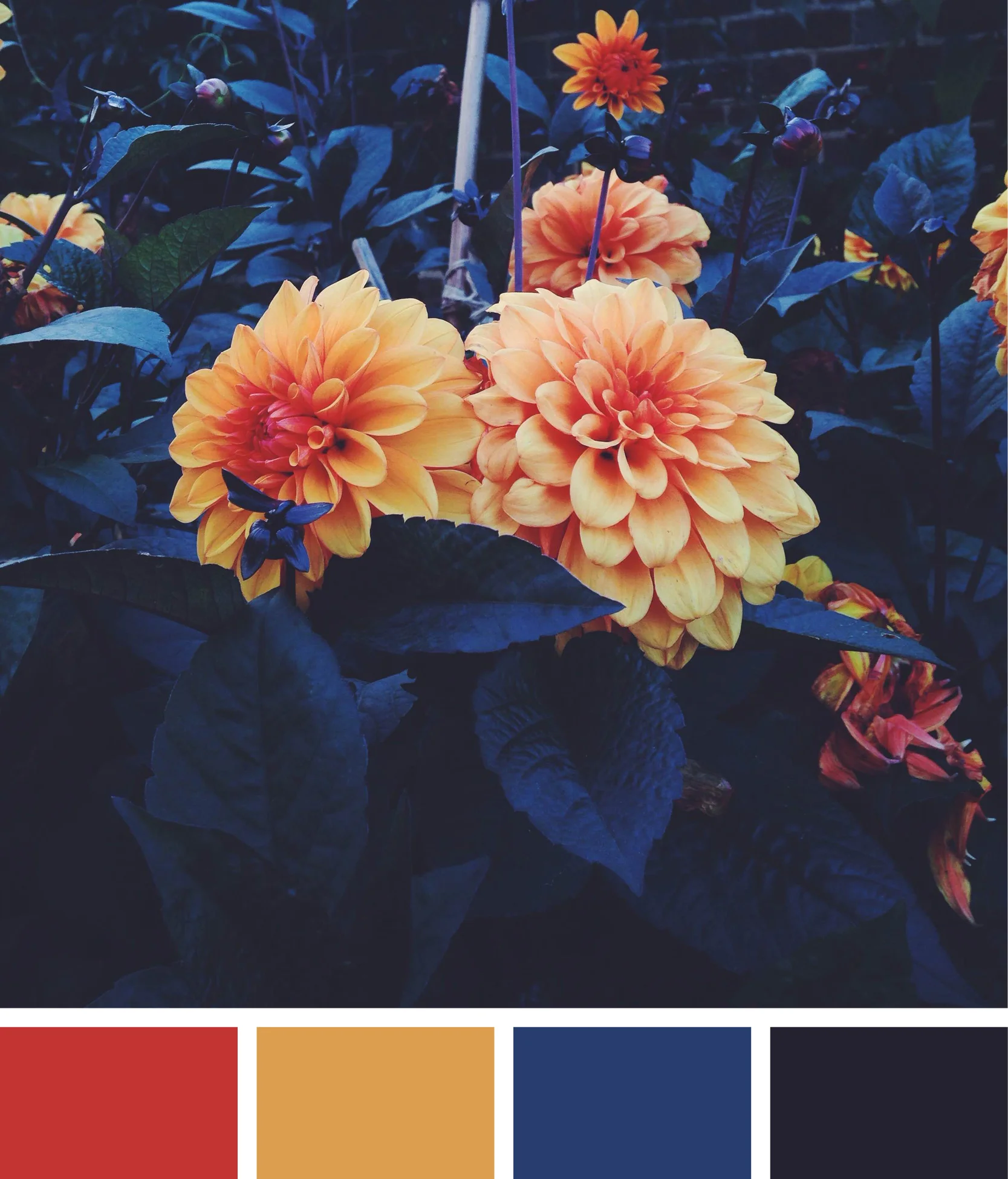 colours2.jpg
