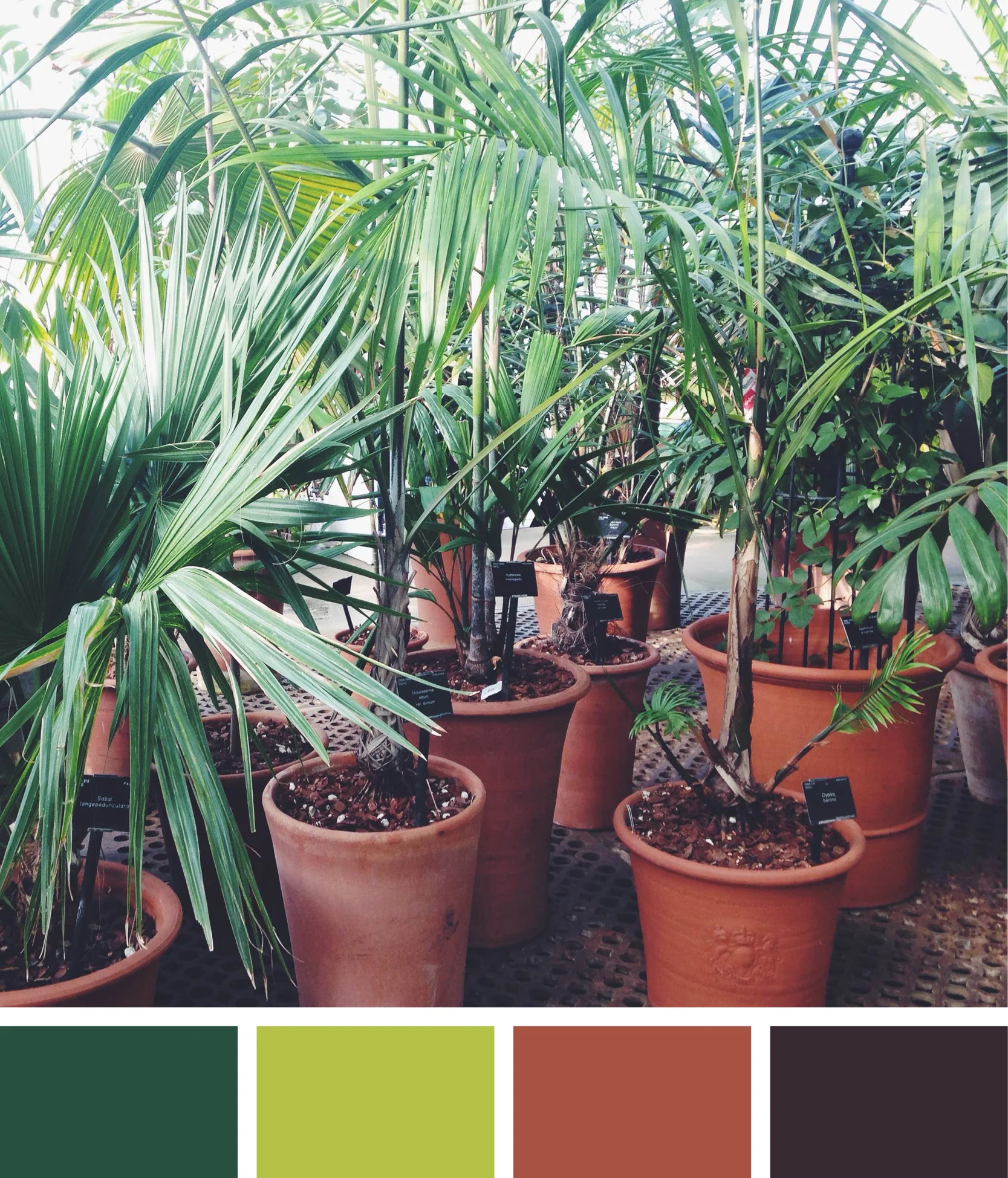 colours6.jpg