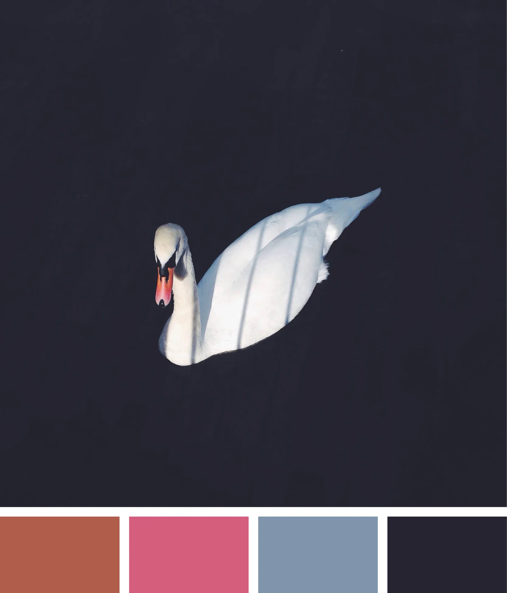 colours4.jpg
