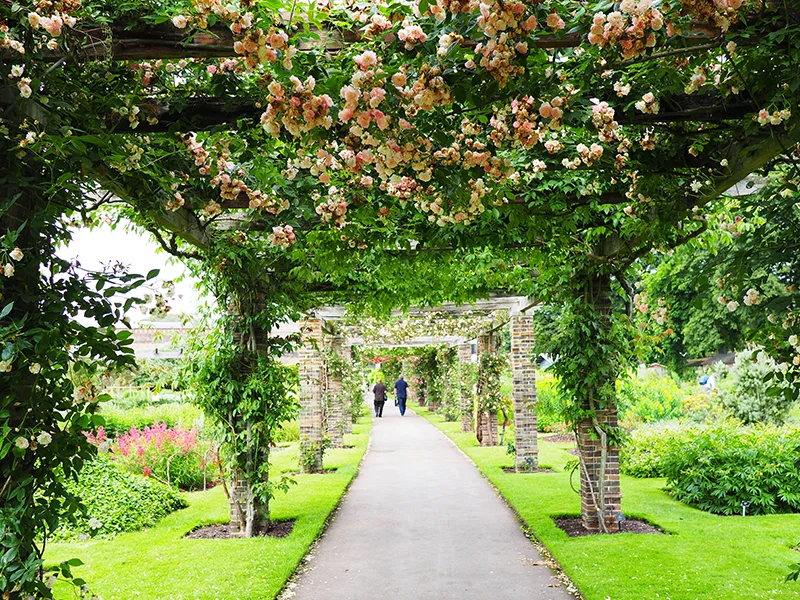 Kewgardens04.jpg