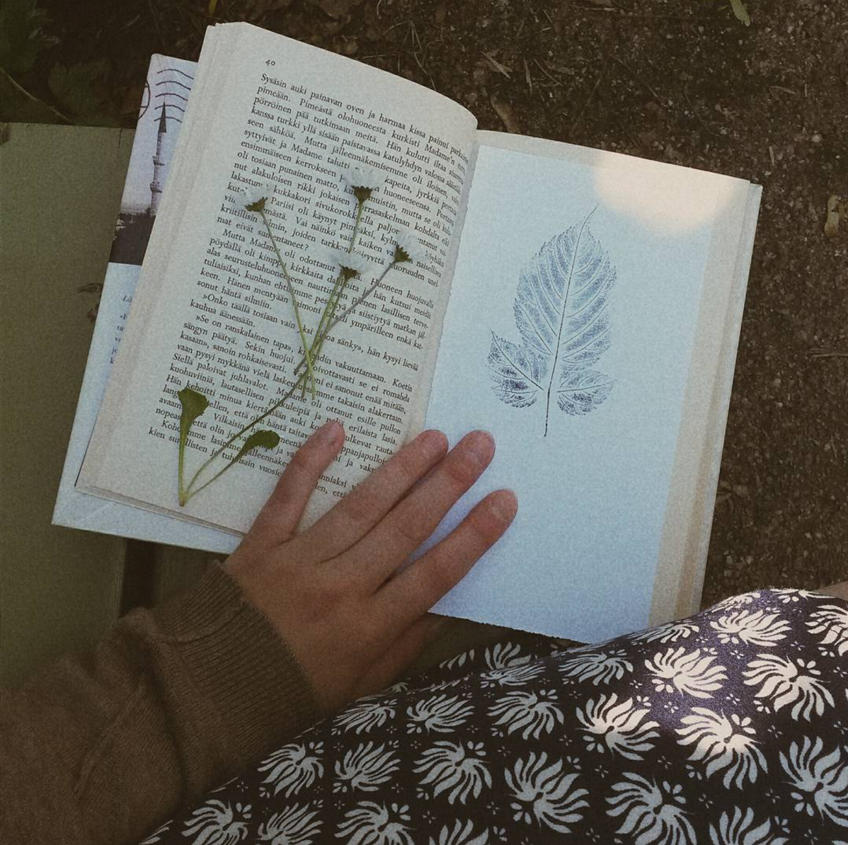 @oonajuliar - This account is a combo of nature and paper and the style of photography is stunning.
