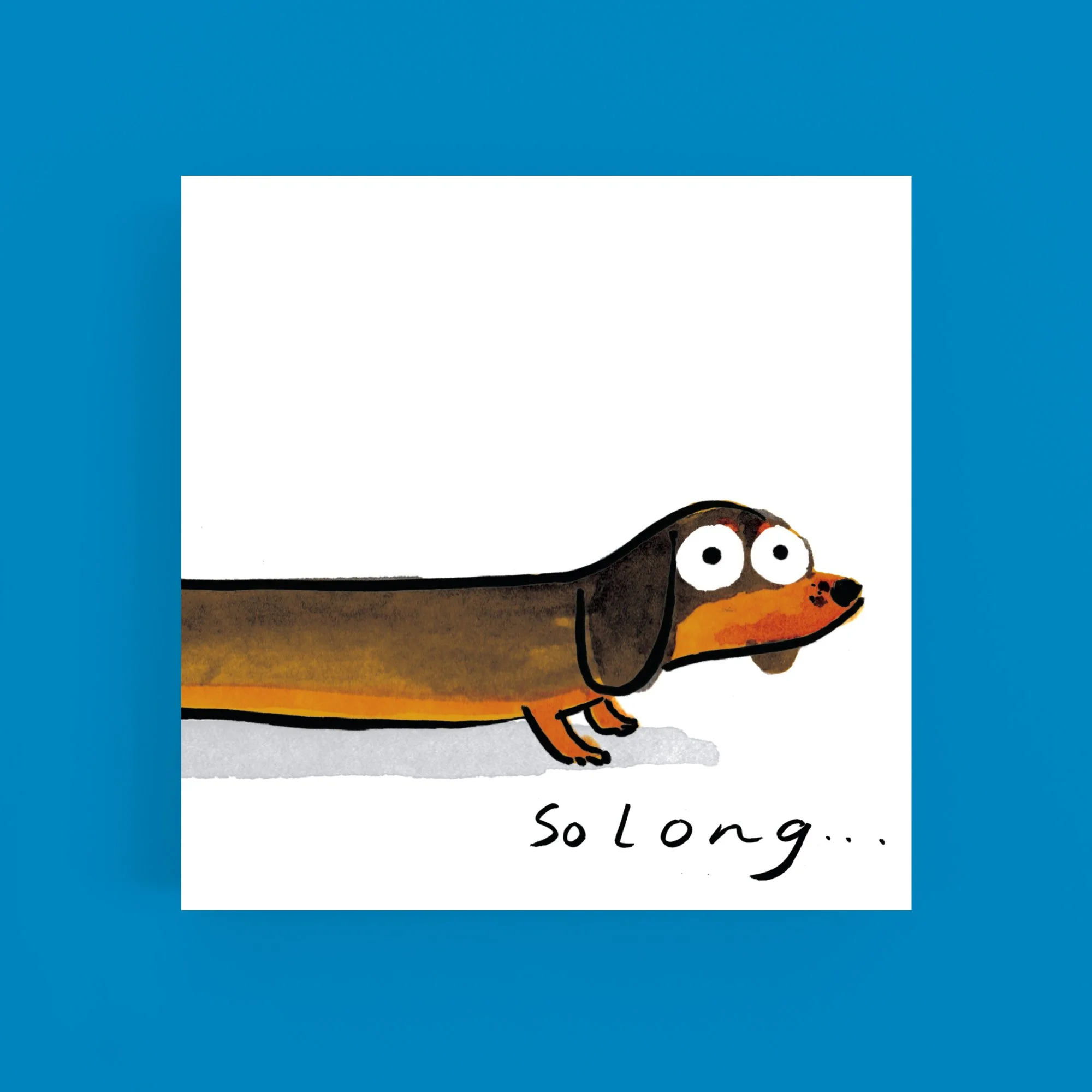 S3.jpg