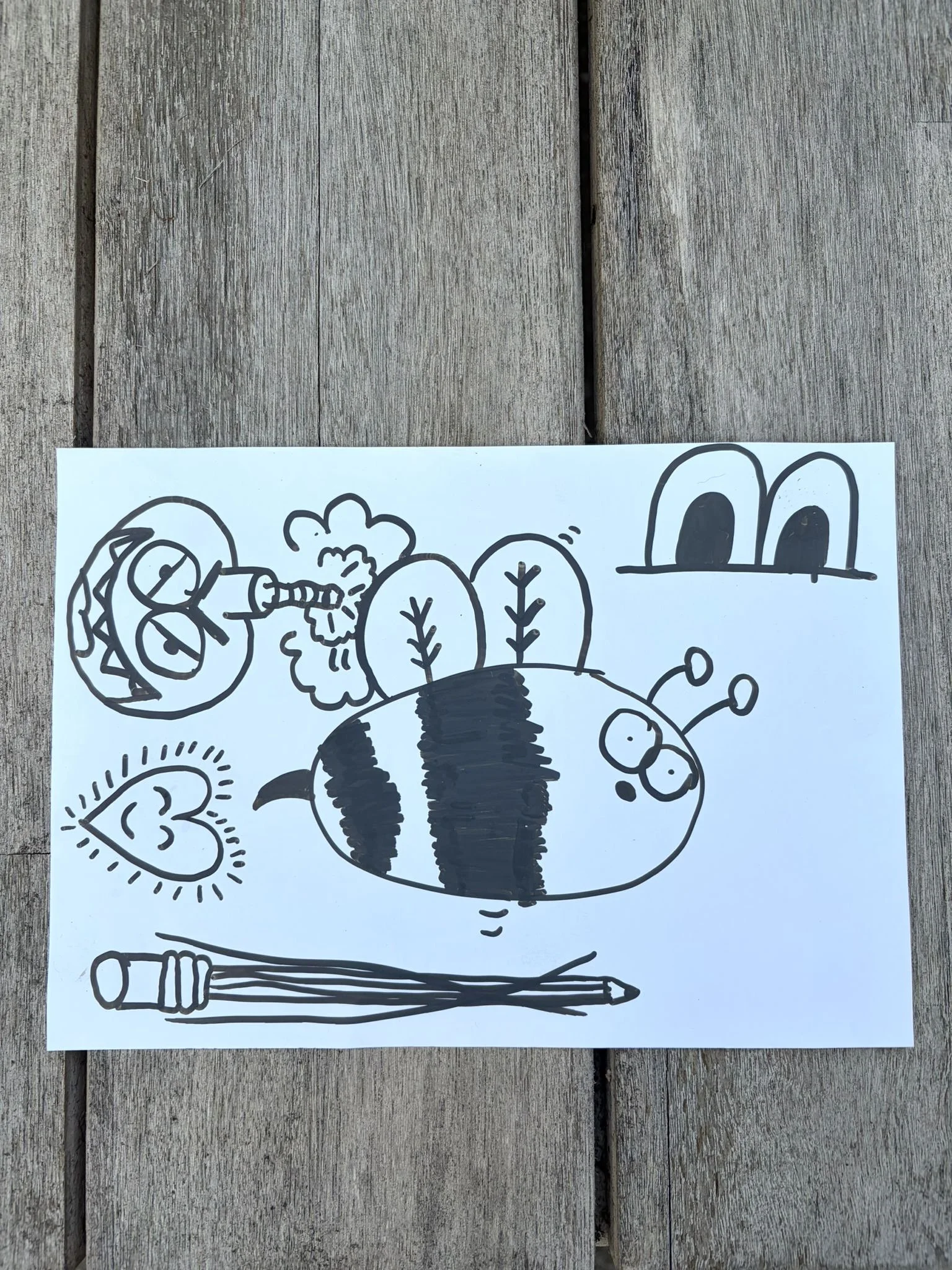 6f506077-bd0d-494f-b5f3-83195f13e296.jpeg
